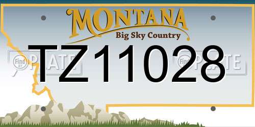 TZ11028 Montana License Plate