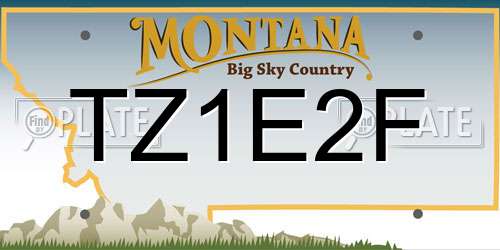 TZ1E2F Montana License Plate