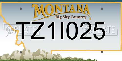 TZ1I025 Montana License Plate