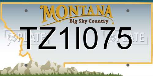 TZ1I075 Montana License Plate