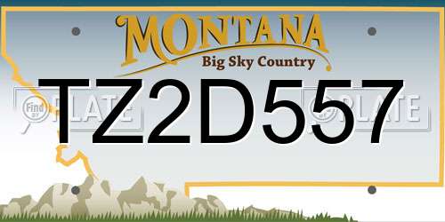 TZ2D557 Montana License Plate