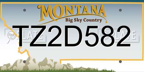 TZ2D582 Montana License Plate