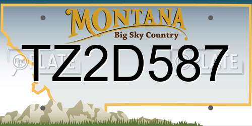 TZ2D587 Montana License Plate