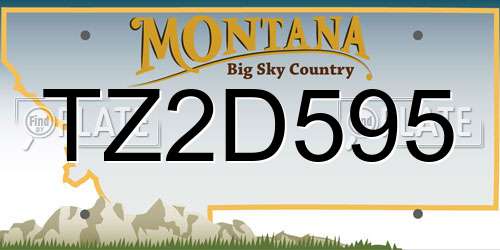 TZ2D595 Montana License Plate
