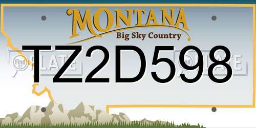 TZ2D598 Montana License Plate