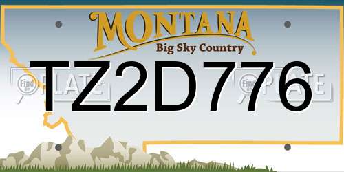 TZ2D776 Montana License Plate