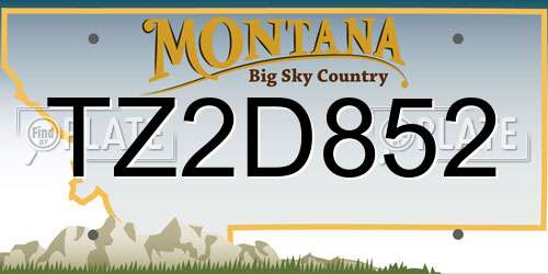 TZ2D852 Montana License Plate
