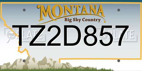 TZ2D857 Montana License Plate