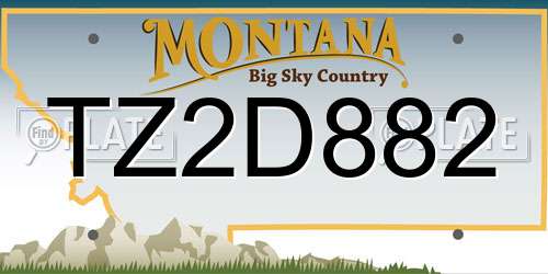 TZ2D882 Montana License Plate