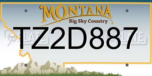 TZ2D887 Montana License Plate
