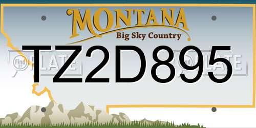 TZ2D895 Montana License Plate