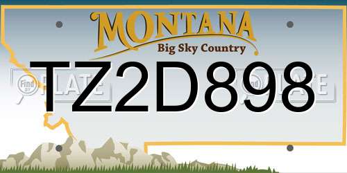 TZ2D898 Montana License Plate