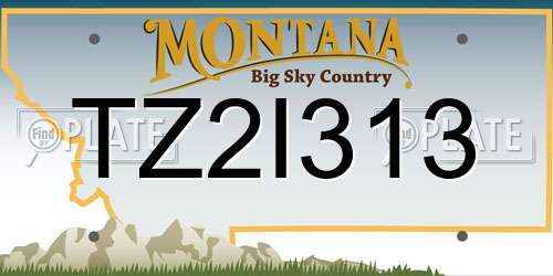 TZ2I313 Montana License Plate