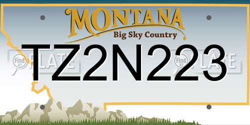 TZ2N223 Montana License Plate