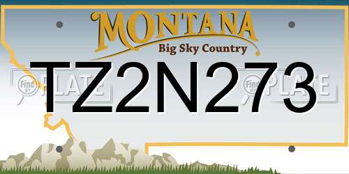 TZ2N273 Montana License Plate