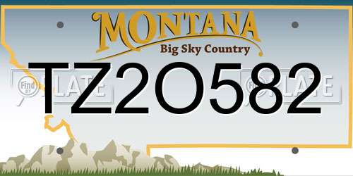 TZ2O582 Montana License Plate