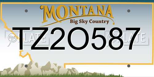 TZ2O587 Montana License Plate