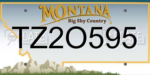 TZ2O595 Montana License Plate