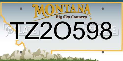 TZ2O598 Montana License Plate