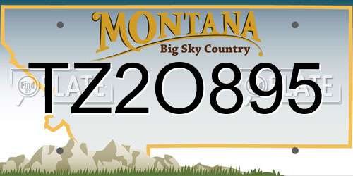 TZ2O895 Montana License Plate