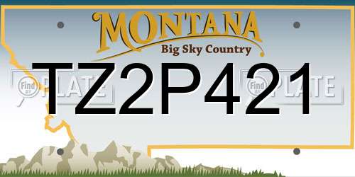 TZ2P421 Montana License Plate