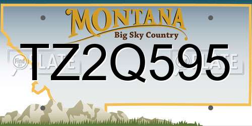 TZ2Q595 Montana License Plate