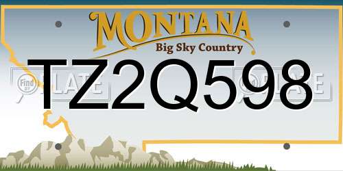 TZ2Q598 Montana License Plate