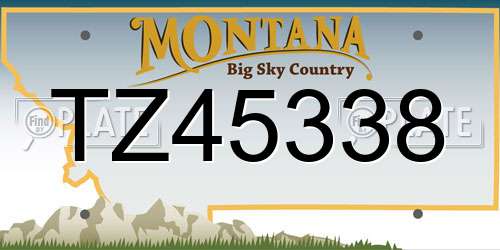 TZ45338 Montana License Plate