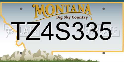 TZ4S335 Montana License Plate