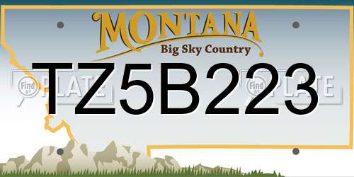 TZ5B223 Montana License Plate