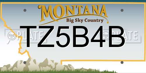 TZ5B4B Montana License Plate