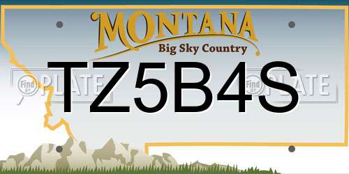 TZ5B4S Montana License Plate