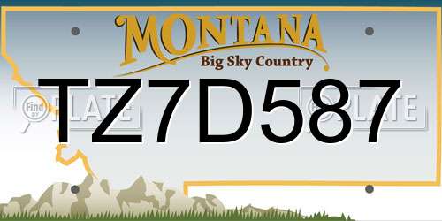 TZ7D587 Montana License Plate
