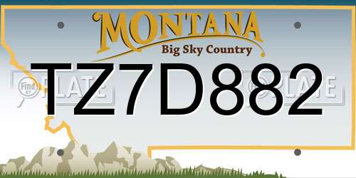 TZ7D882 Montana License Plate