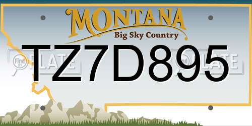 TZ7D895 Montana License Plate