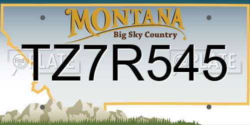 TZ7R545 Montana License Plate