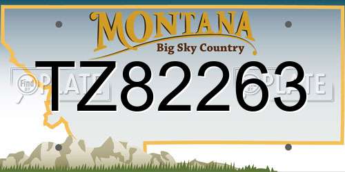 TZ82263 Montana License Plate