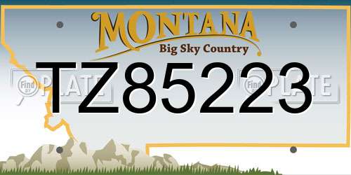 TZ85223 Montana License Plate