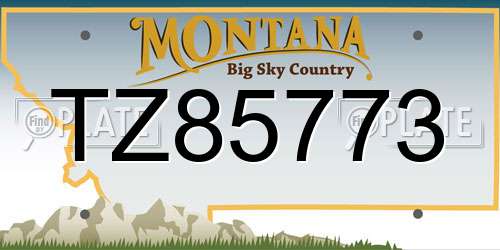 TZ85773 Montana License Plate
