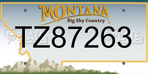 TZ87263 Montana License Plate