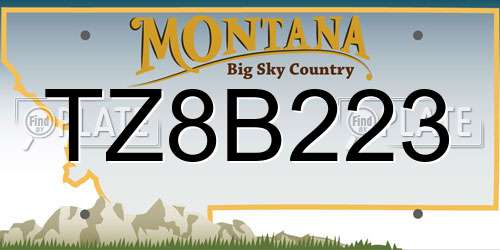 TZ8B223 Montana License Plate