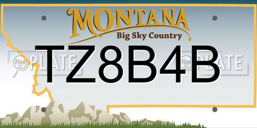 TZ8B4B Montana License Plate