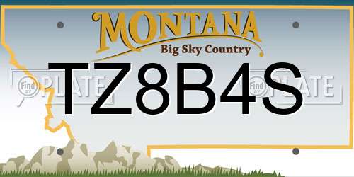 TZ8B4S Montana License Plate