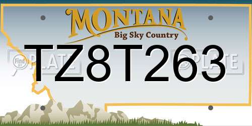 TZ8T263 Montana License Plate