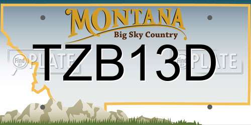 TZB13D Montana License Plate