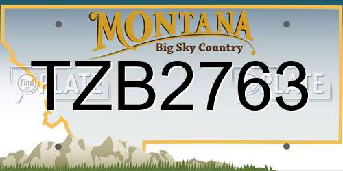 TZB2763 Montana License Plate