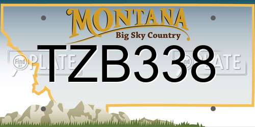 TZB338 Montana License Plate