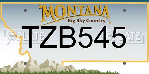 TZB545 Montana License Plate