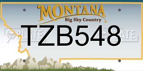 TZB548 Montana License Plate