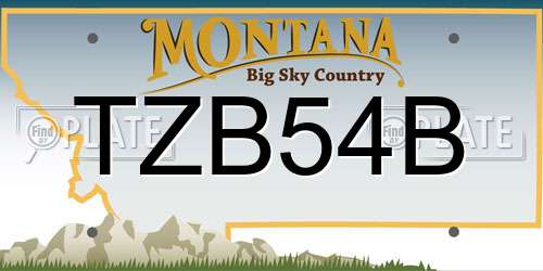 TZB54B Montana License Plate